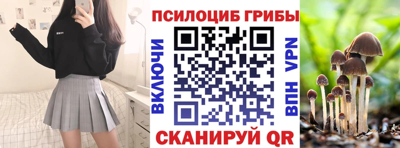 Псилоцибиновые грибы Cubensis  закладки  Череповец 